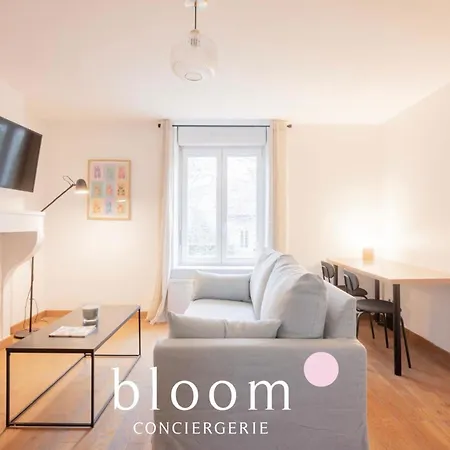 Le Chaleureux Leclerc 2 4p Apartment Nancy