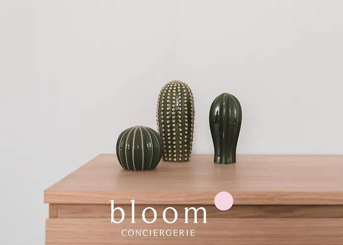 Le Chaleureux Leclerc 2 4p *